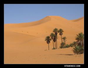 Taghit : des paysages a coupé le soufle .