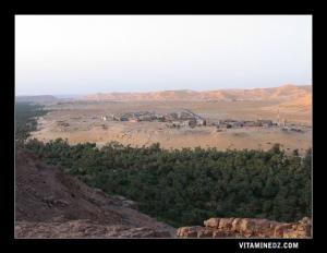 Bakhti et la splendeur de sa palmeraie (Taghit)