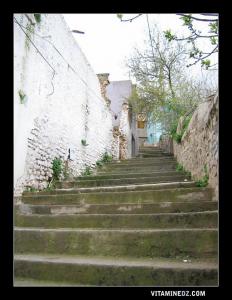 Tlemcen : El Eubbad .