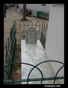 Abi zakaria yahia Ibn Youghen