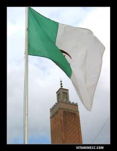 le Minaret de la mosquée de Sidi Boumedienne