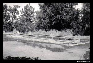 L'abreuvoir Nord de Brea