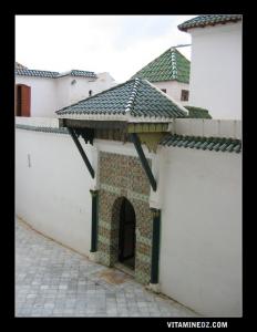 La porte exterieur qui mène au tombeau de Sidi Boumediene .