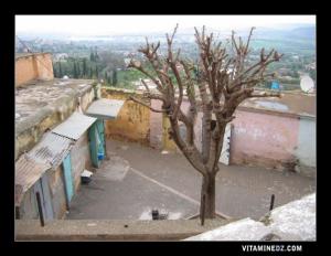 L’une des placettes d’El Eubbad