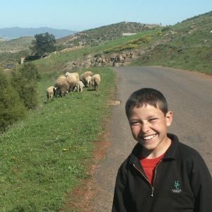 Le petit berger de Msirda Fouaga
