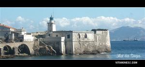 Phare de l'ilot des Singes ou Phare Vert Molot