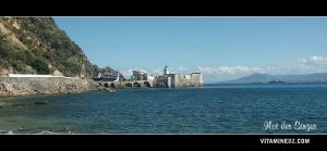 Phare de l'ilot des singes ou Phare vert