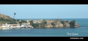 La Caroube - Fort gênois