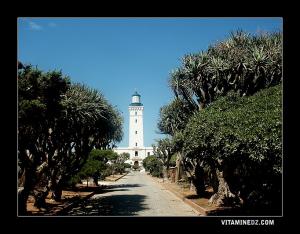 Phare de Cap Caxine