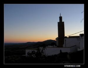 La mosquée de Sidi Boumediene.