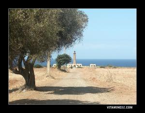 Entrée du Phare de Pointe Colombi, El Mersa