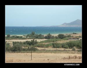 Les plages d'El Marsa