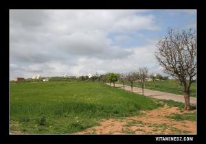 Sidi Kada Un lieu de Saints