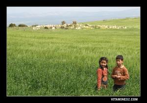 Enfants à Sidi Kada