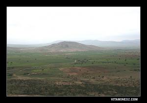 Plaines verdoyantes de la région de Frenda