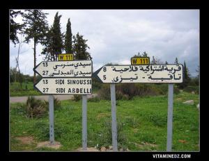 Des plaques indiquant la route qui mène à Sidi Sinoussi , Sidi Abdelli, Tagma , Tizi et le village communal agricole