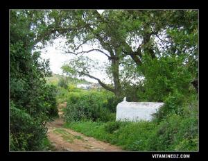 Marabout de Sidi Missabih à Tizi