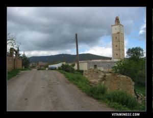 Village de Tizi