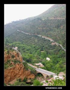 La route qui relie Tlemcen à Sidi bellabes en passant par El Ourit