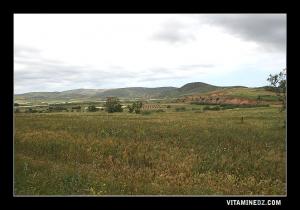 Plaines de Tedmaya