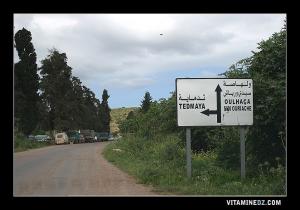 Entrée de Tedmaya, Marché de l'Oignon