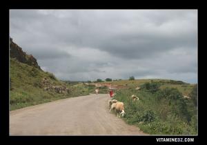 Entrée de Tedmaya, Une bergère et sa fille