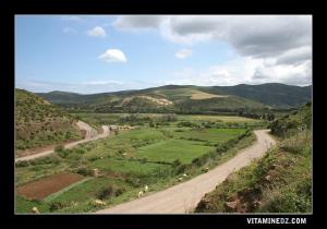 Entrée de Tedmaya, Vue sur le plateau de Tedmaya, traversé par la Tafna
