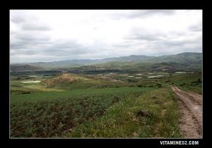Plateu de Tedmaya, en bas de la piste Douar Lehnayna