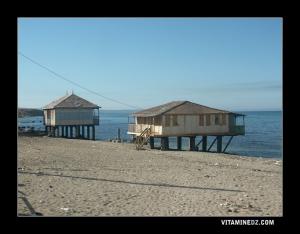 Les cabanes sur pilotis à Salamandre