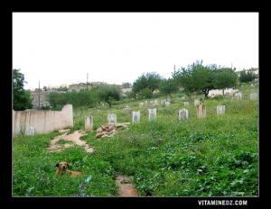 Cimetière de Sidi Djabèr à ain El Hout .