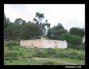 Marabout de Sidi Bou Abdallah à Ain El Hout