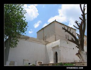 Marabout de Sidi Med Ben Ali à Ain El Hout
