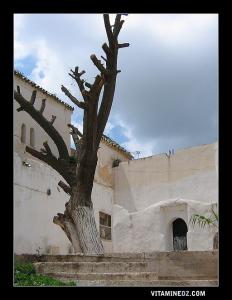 Marabout de Sidi Slimane