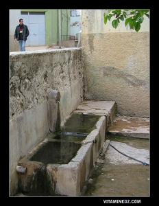 Source ou ain Dar El Arsa à Ain El Hout