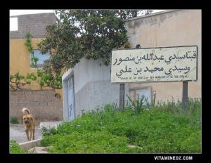 Plaque indiquant : kobba de Abdellah Ben Mansour et de Sidi Med Ben Ali à Ain El Hout