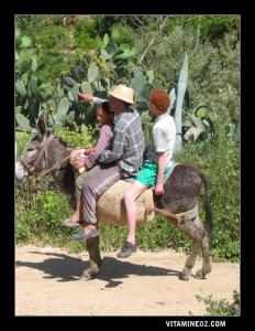 un paysan de Ain El Hout et ses enfants .