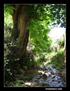 Une piste non carrossable mais paradisiaque qui mène à Tahammamit  (Ain El Hout )