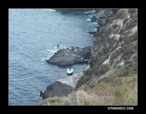 Détente à l'ile de Rachgoun