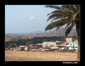 Rachgoun, et l'ile à partir du village de Siga