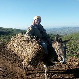 Paysan de Sebae Chioukh