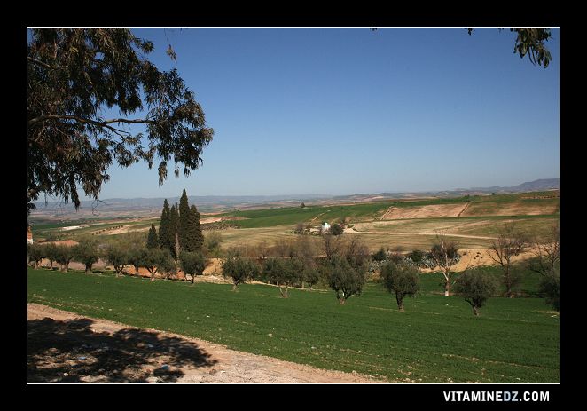 A l'entrée de la commune de Hennaya : Sidi Boukanoun