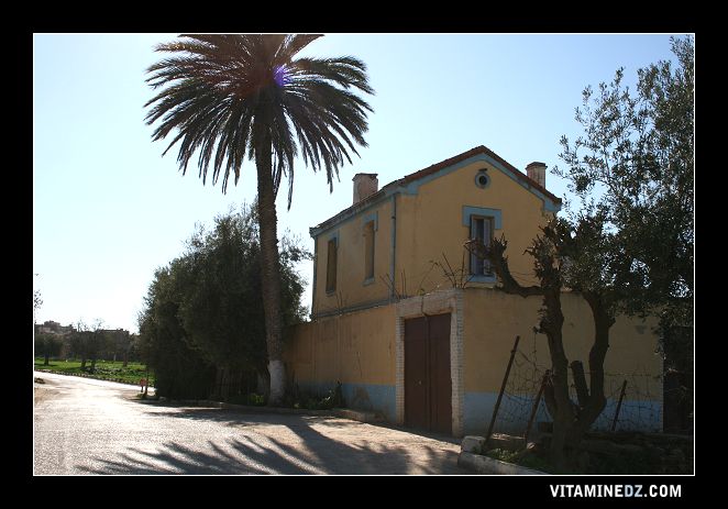 Ancienne gare de Hennaya (Eugene Etienne)