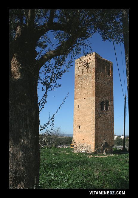 Vestiges historiques dans l'ancienne Hennaya