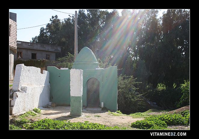 Wali de Sidi Chaïb saint patron de Hennaya