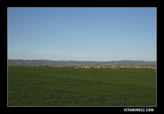 Région du Sikkak aux alentours de  Ain Youcef (Lavayssière)