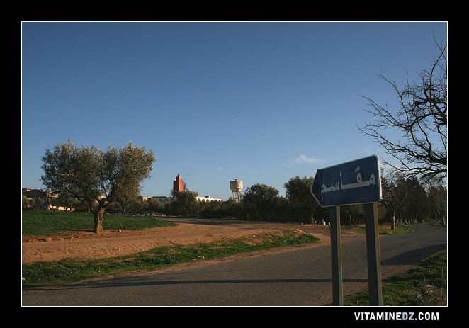 Village de Mkacem entre Hennaya et Ain Youcef