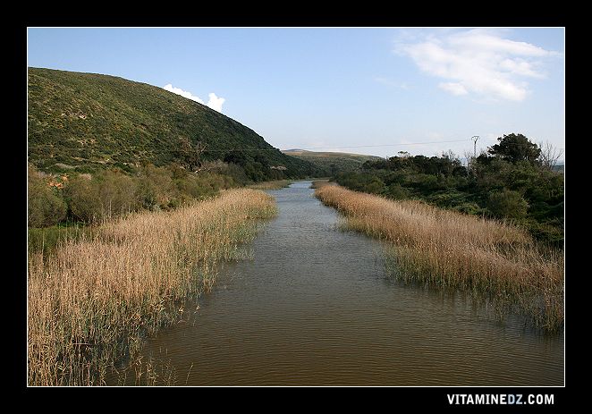 Dernier kilomètre du long oued de la Tafna, au niveau de Rachgoun