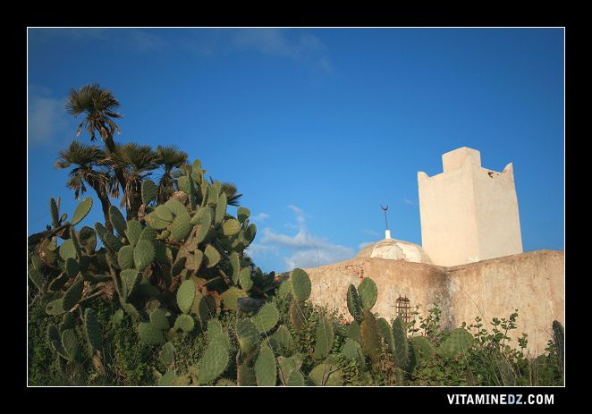 Mosquée et Mausolé de Sidi Yacoub