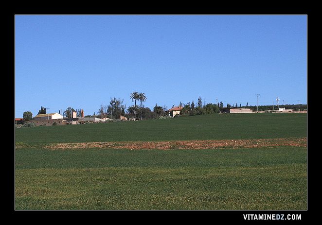 Petit village de Sidi Ahmed à coté de Remchi