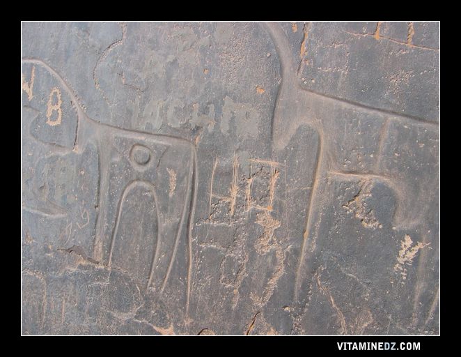 Taghit : gravures rupestres